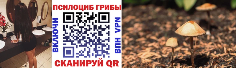 Галлюциногенные грибы прущие грибы  Барыш 